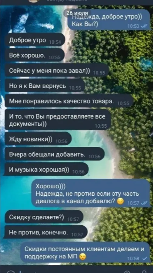 Скриншот переписки с заказчиком № 2